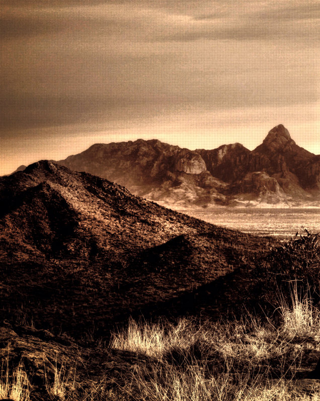 Bobby Narco 'In One’s Element' sepia tone valley with Baboquivari in the distance