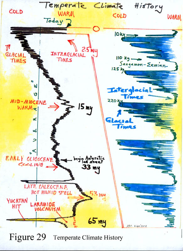 Temperature and climate history