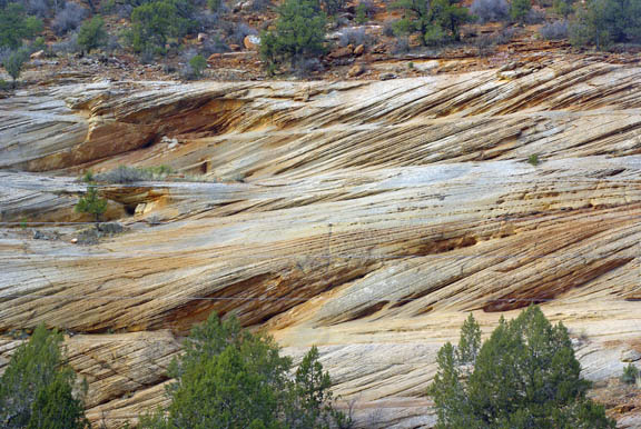 Navajo Sandstone Cross Bedding