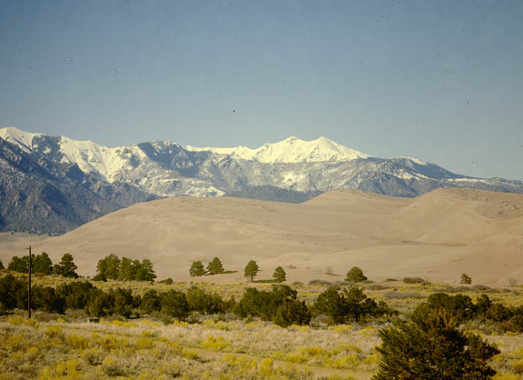 Colorado Sand Dunes