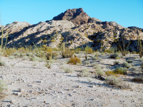 Cabeza Prieta peak