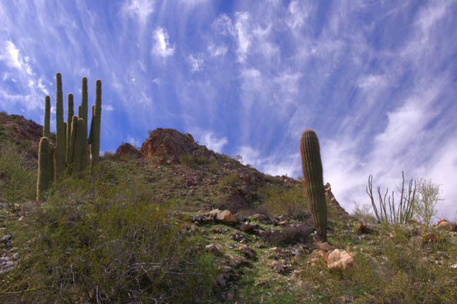 Little Ajo Mountains