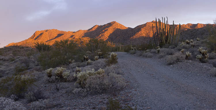 Little Ajo Mountains south side