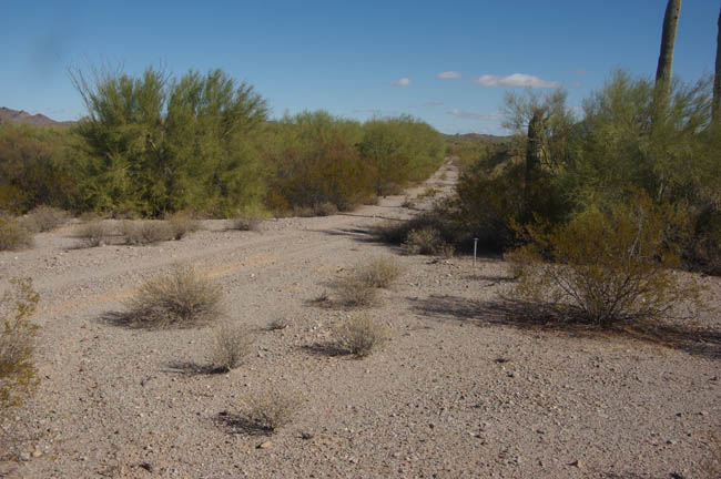 Papago Boundary reservoir looking across dam