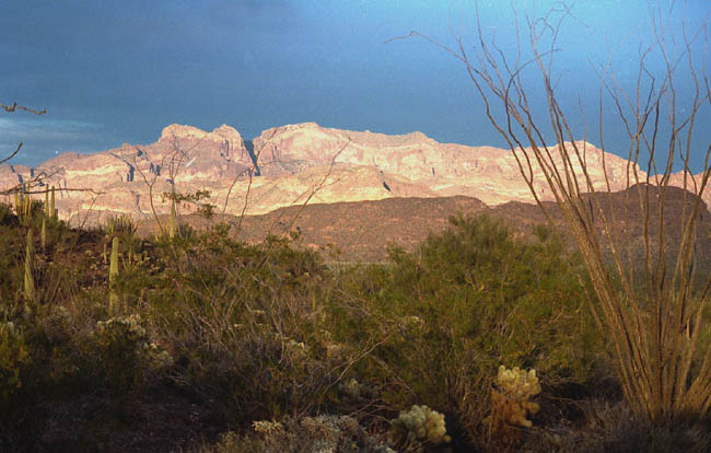 Ajo Range