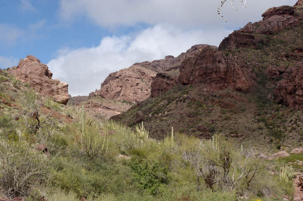 Alamo Canyon north fork