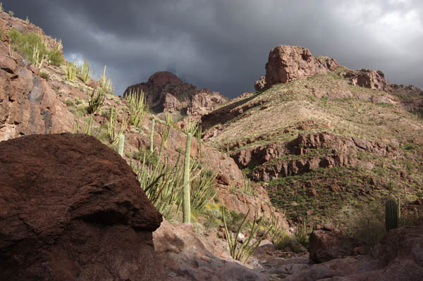 Alamo Canyon north fork