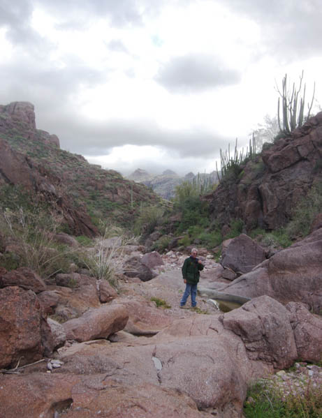 Alamo Canyon north fork