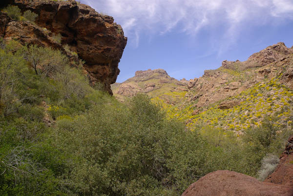 Alamo Canyon south fork