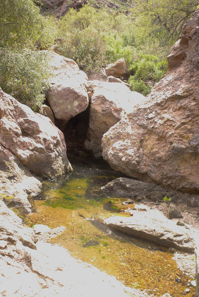 Alamo Canyon south fork