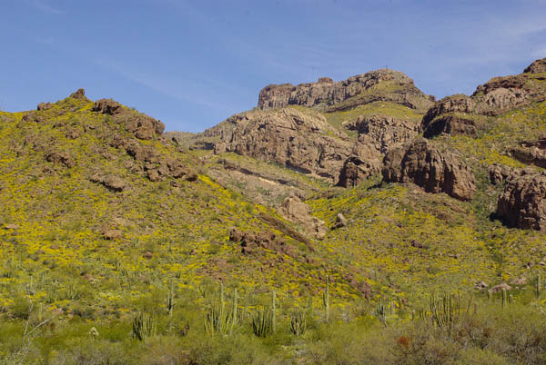 Alamo Canyon south fork