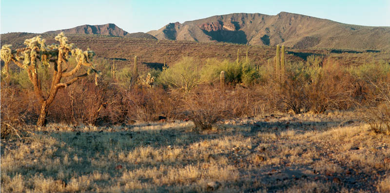 batamote panorama