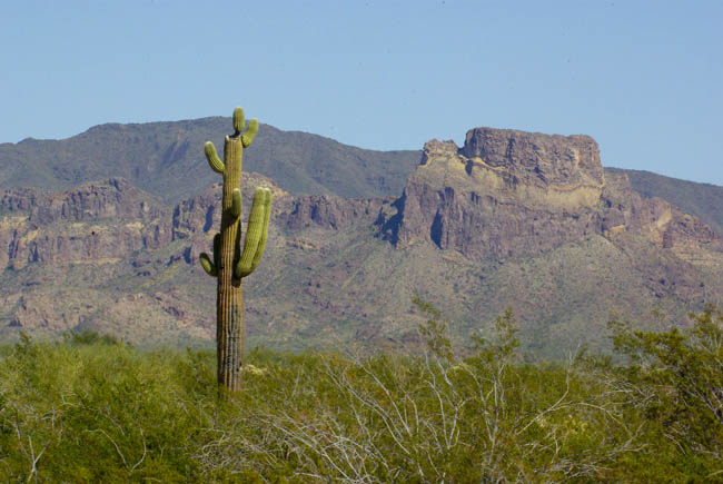 Burro Gap, view to the east