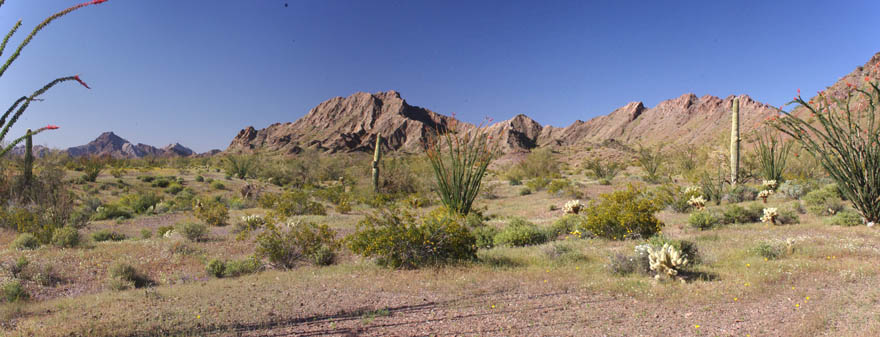 Cabeza Prieta mountains panorama