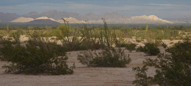 Cabeza Prieta mountains seen from Tinajas Altas