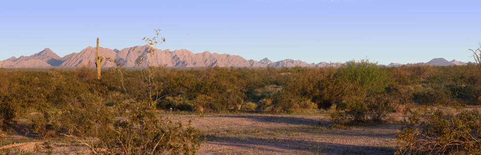 Cabeza Prieta mountains seen from the northwest Buck Peak on the right Cabeza Prieta Peak in the center and Tordillo Mountain on the right