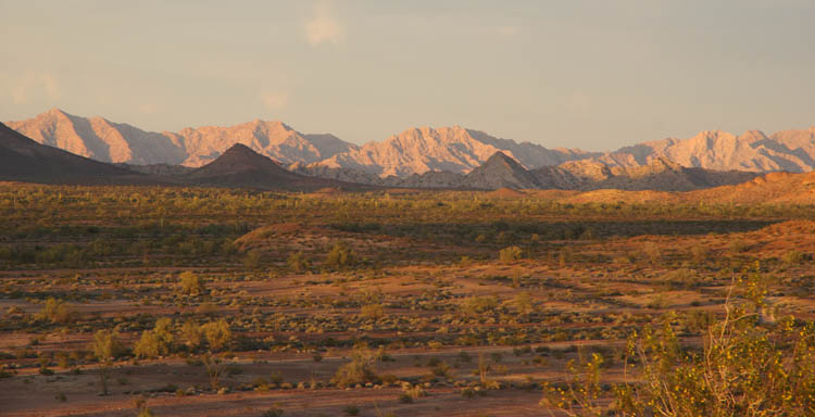 Cabeza Prieta mountains seen from Tule Well