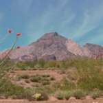 Cabeza Prieta Mountains