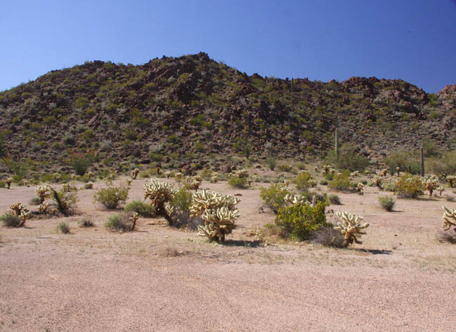 Cholla Pass