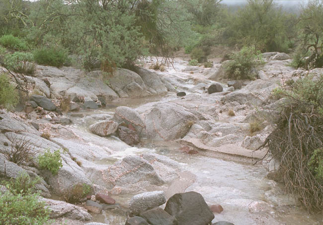 Christmas Pass running wash