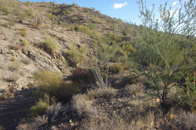 Copper Canyon wash