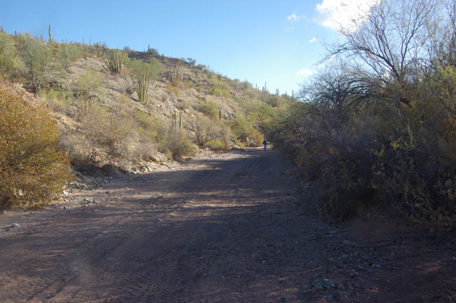 Copper Canyon wash