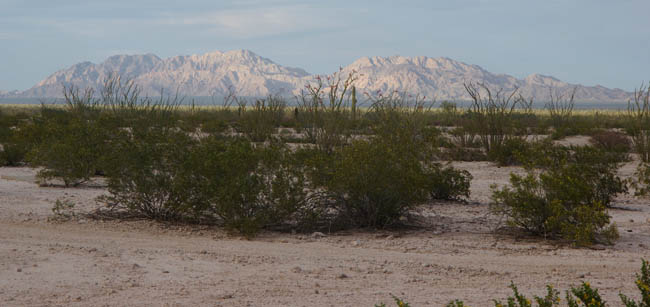 Copper Mountains from El Camino Del Diablo