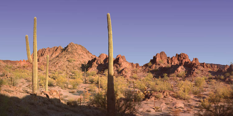 Crater Range panorama