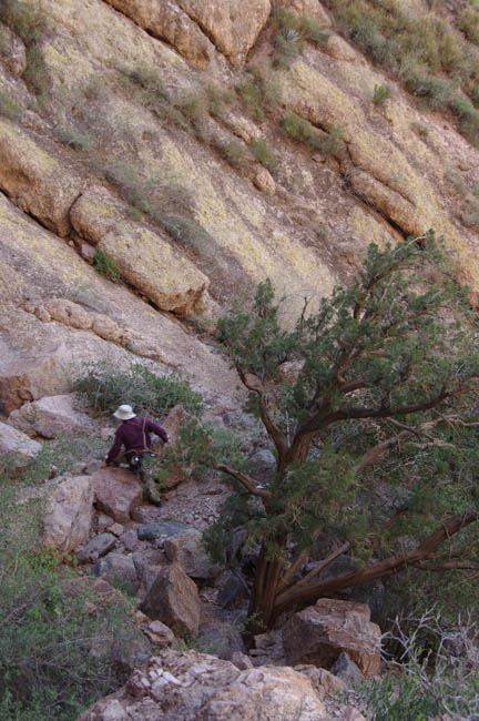 Estes Canyon upper part with red-berry juniper