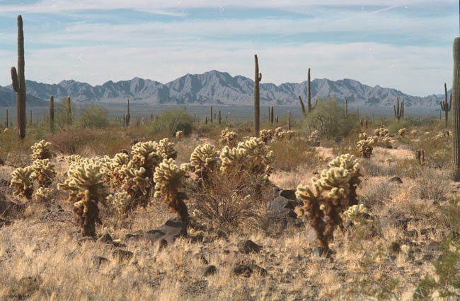 Granite Mountains