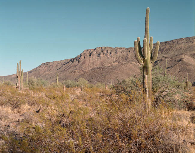 Growler Mountains west side