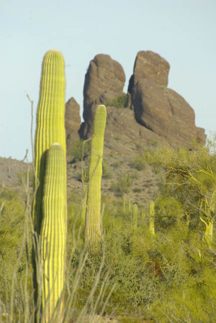 Locomotive Rock seen from Valentine Well