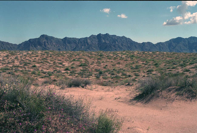 Mohawk Mountains