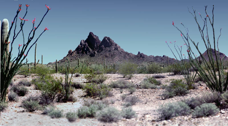 North Ajo Peak