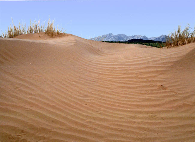 Pinacate Lava Flows with dunes