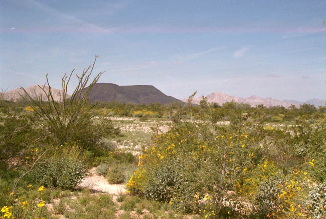 Raven Butte