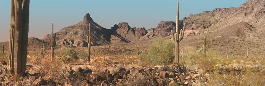 Sheep Peak in the Growlers, panorama