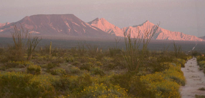 Tordillo Mountain