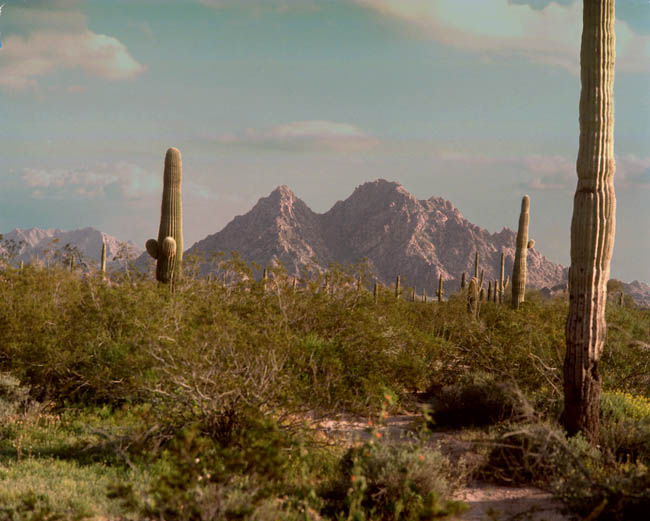 Tule Mountains