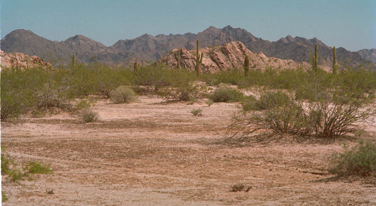 Tule Mountains