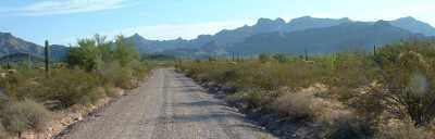 Ajo Mountain Road