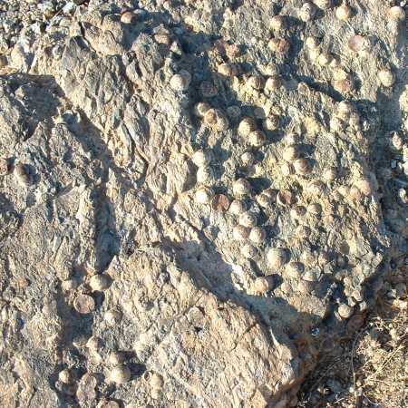 Marble Mtn. Marbles