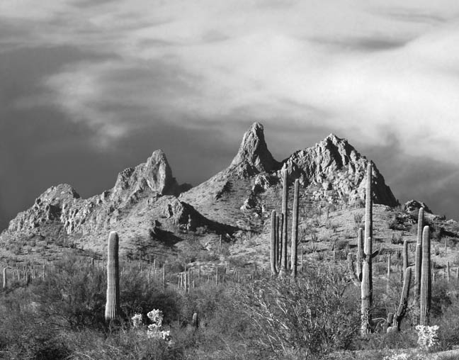 Heny Jorgensen Desert storm