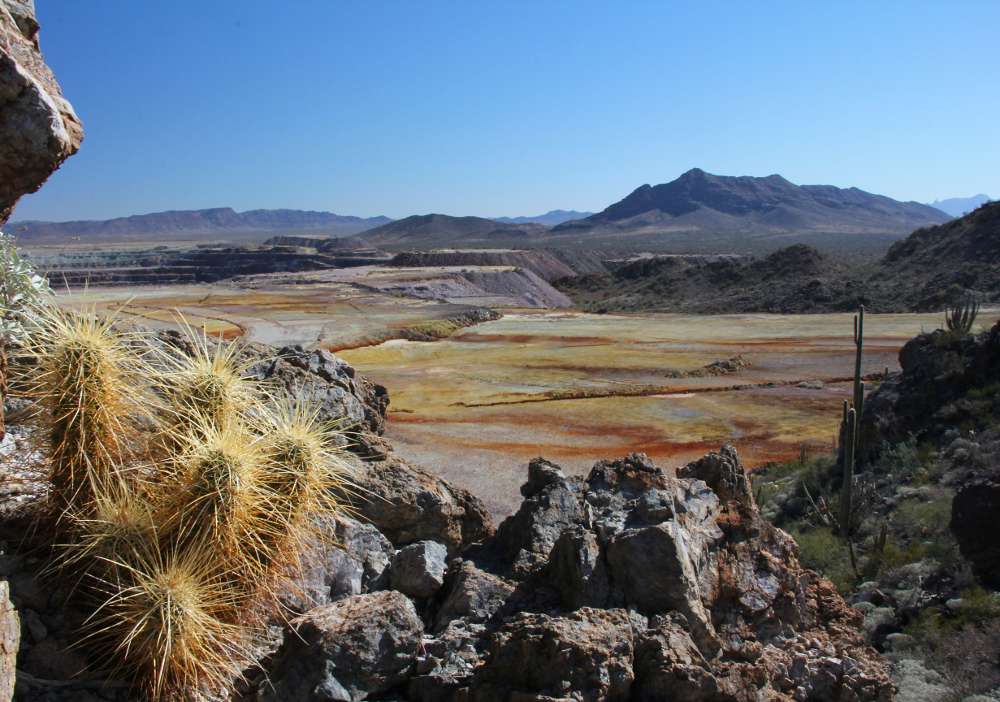 Julia Brown, Ajo Copper Tailings