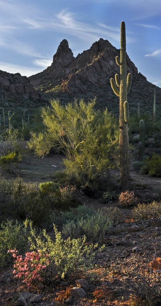 Paul Johnson, Ajo Peak