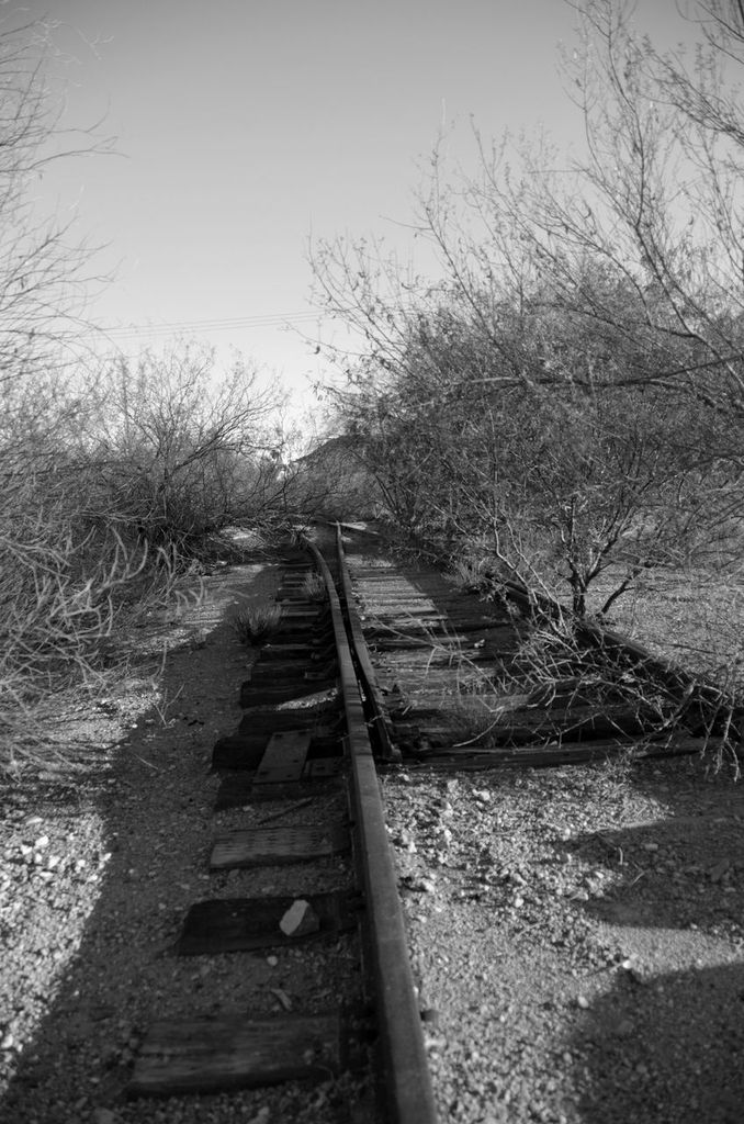 Rusty Rails, Jim Cook