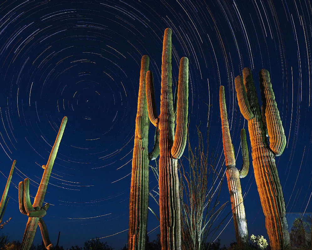 Reaching for the Stars by Tony Friesen