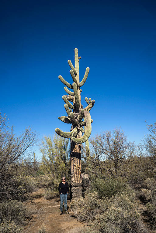 Saguaro and Friend