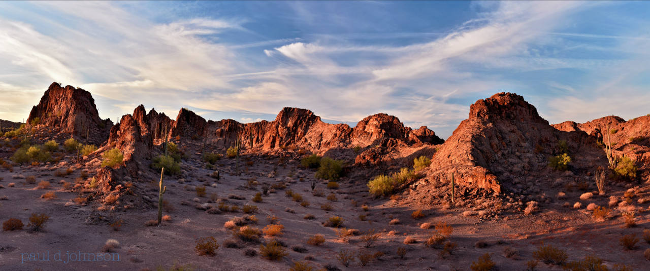 Desert Landscape