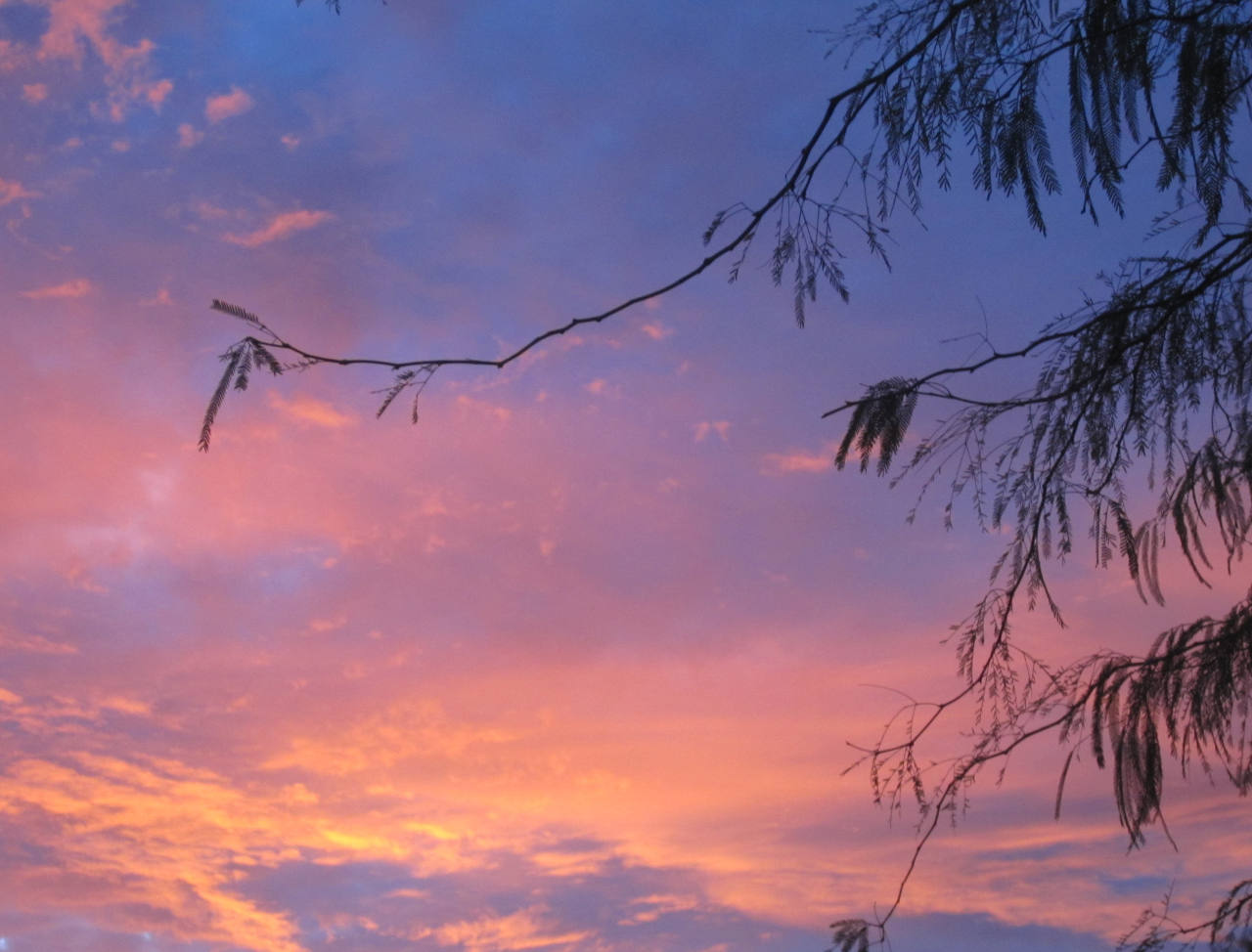 Reaching Branch